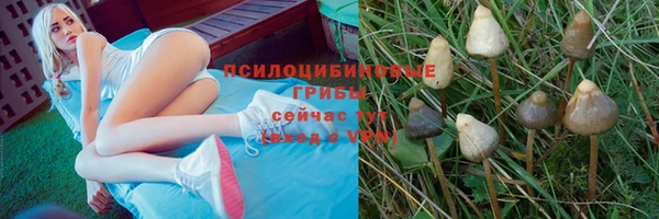 гашик Абаза